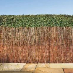 Apollo Fern Roll-Up Screen 4 x 2m