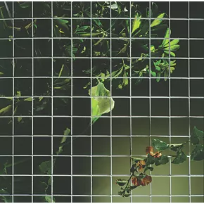 Apollo 13 x 13mm Galvanised Welded Mesh 0.9 x 30m - Image 2