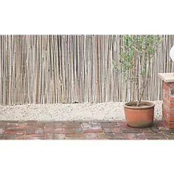 Apollo Bamboo Garden Screen 4 x 2m