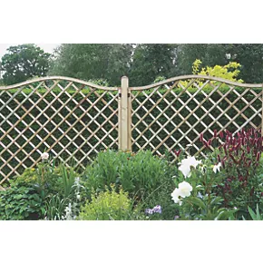 Forest Hamburg Lattice Curved Top Garden Screens 6 x 6' 8 Pack - Image 3