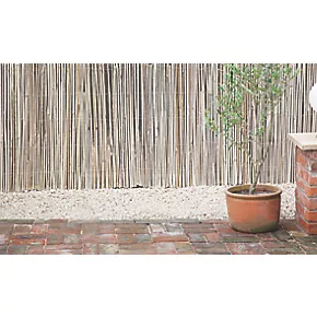 Apollo Bamboo Half Bamboo Garden Screen 4 x 1m - Image 2