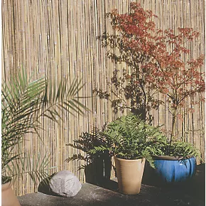 Apollo Bamboo Half Bamboo Garden Screen 4 x 1m