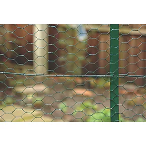 Apollo 50mm PVC-Coated Wire Netting 1 x 10m - Image 3