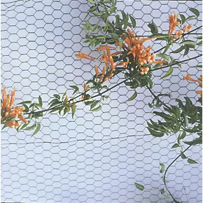 Apollo 25mm Galvanised Wire Netting 0.6 x 50m - Image 2