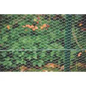 Apollo 25mm Galvanised Wire Netting 0.6 x 50m - Image 5